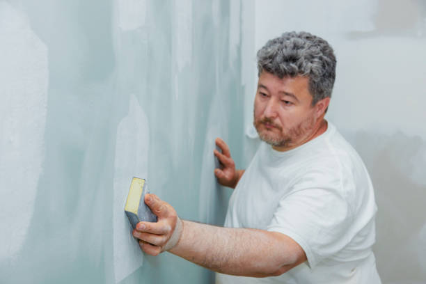 Trusted Midwest City, OK Mold Removal Experts