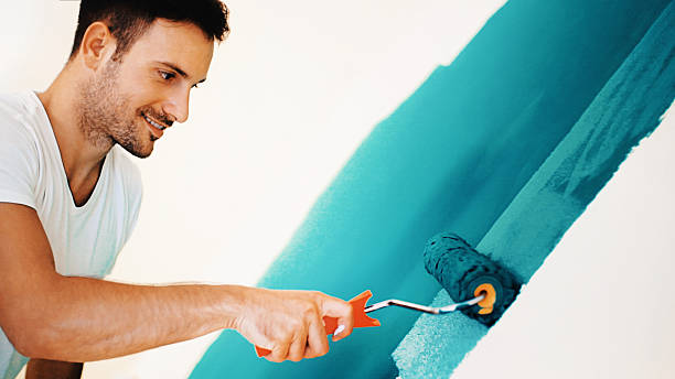 Best Black Mold Removal  in Midwest City, OK